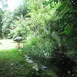 Appart Jungle