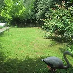 Appart Jungle